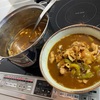 雪の白、ネギの緑とカレーうどん