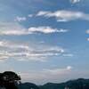梅雨の置きみやげ