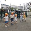 ♪ぶたのまるやき♪