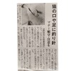 釣り針の刺さった猫、　八重山毎日新聞に記載です！！