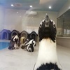 ペンギンが住むカフェ★＠三木市