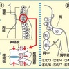 事故から3ヶ月、新たな真実とまとめ