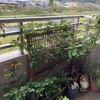 4月14日　植物園とカーブス