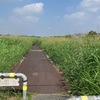 江戸川サイクリングロードは未だに草ぼうぼう swim 3km + bike 141km