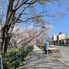 京都の春の一日