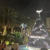 急遽 家族と合流するためクリスマスを前にして治安が悪くなったフィリピンへ　Vol.738