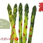 胎内記憶 障がいもお母さんも自分が決めて生まれてきました Hidamarinnのキラキラ子育て