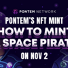 PontemのNFTミント：11月2日にSpace Pirateをミントする方法