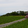 箱館山のお楽しみと美味しいもの