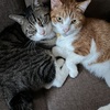 最後の3連休。