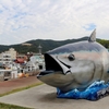 旅行～鹿児島　奄美大島諸島編～