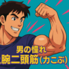 男の憧れ上腕二頭筋（力こぶ）