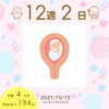 12w2d 妊娠４ヶ月突入！！！