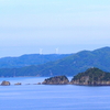 真穴の草刈りと苗木の蕾もぎ＆あちこちでナミアゲハ＆木の穴からコゲラがちょこん♪