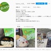 鴨方にふわふわかき氷のお店「鴨みるく」さんが登場☆