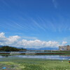 京都新聞写真コンテスト「大好き!! 京滋の風景」(第五回)