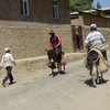 ウズベキスタンで田舎体験とテレビ収録