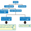 オリーヴオイル　脂肪酸について