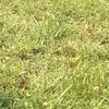 ソフィさん、ありがとうございます！