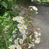 森の中で見つけた、心がほどける時間