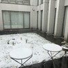 降雪、去年と今年