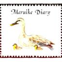 Maruike日記
