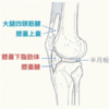 膝蓋骨の可動性について