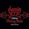 Stray Kids、京セラドーム大阪③【2024/12/8 セトリ・グッズ列・座席表】dominATE JAPAN