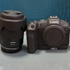EOS R1のサブ機として「EOS R8」を購入した話①【動機編】〜「EOS R1」を相棒に【154】〜