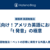 獣医向け！アメリカ英語における「t 発音」の極意
