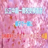 公立中高一貫校受検直前！親子で一緒に～合格確率を上げるためにできること4選～