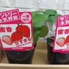 【食育】初めてのイチゴ栽培
