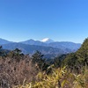 もみじ台，高尾山から富士山