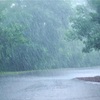 バスと雨と洗車…