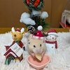 ハムスターくりちゃん🐹トナカイサンタ