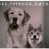 日本の犬と、アメリカの犬は、会話できるのか。