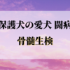 麻酔下での骨髄生検【愛犬闘病記③】