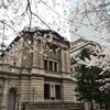 都内近郊でゆっくり桜鑑賞できる絶景お花見穴場スポットおすすめ3選　2025年（青山霊園、江戸桜通り、さくら公園、ライトアップ）