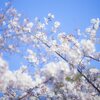 新生活で出費を抑える！いや、増やそう！新生活の技術