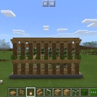 アカシア植林場の作り方 Sくんのminecraft