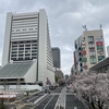 大学にレポートをさらに提出（3,4,5,6/22）