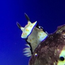 Yū­­Koの備忘録