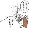 寝る前の傍観者