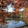 西武池袋線にのって、石神井公園へ行く（12月６日）。