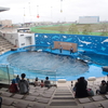 うみの杜水族館へ　Go!