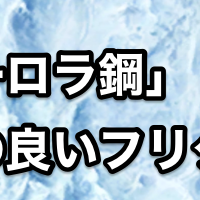 Fate Grand Order オーロラ鋼集めはつらい スカサハ スカディの3スキルをレベル10に出来ました チャリオでカメオ Fate Grand Order オーロラ鋼集めはつらい スカサハ スカディの3スキルをレベル10に出来ました チャリオでカメオ