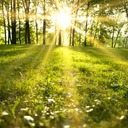Where the light is