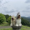 ●久しぶりのドカン公園🎵