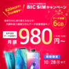 【2019年10月】　BIG SIM　最安運用　キャンペーン利用　6GBが月額1,250円で1年間