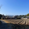 杵築神社　とんど焚き